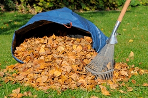 A leaf pile is filled with allergens, so remember to take your allergy medicine before raking.
