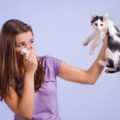 Are you allergic to your pet or are you allergic to the pollen they dragged into your house?