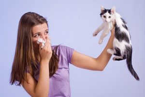 Are you allergic to your pet or are you allergic to the pollen they dragged into your house?