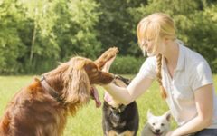 Are you suffering from pet allergies? Ease your symptoms with some simple lifestyle changes.