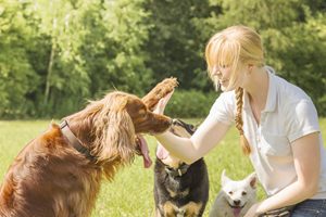 Are you suffering from pet allergies? Ease your symptoms with some simple lifestyle changes.