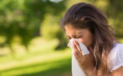 Before trying to fight allergies, understand what they are and how they affect you first.