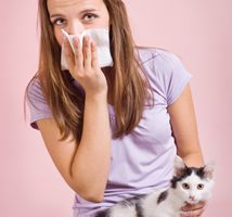 Even through the winter, there are tons of allergies that plague sufferers.