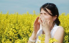 Fall allergies affect almost everyone. But some people suffer from allergic rhinitis.