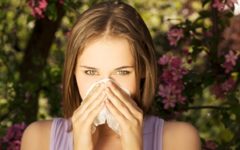 Fall allergies have been worse this year than most, and we can attribute it to a rise in CO2 levels.