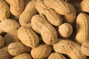 Food allergies, like peanuts, are a leading cause of anaphylaxis.