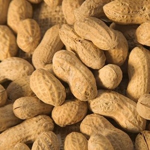 Food allergies, like peanuts, are a leading cause of anaphylaxis.