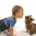 Having kids exposed to allergens like pets at an earlier age may help them avoid developing allergies down the line.