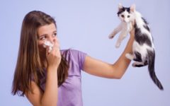 Here are a few myths about pets and pet allergies you might not have known.