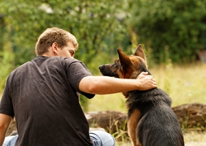 Is your dog suffering from seasonal allergies?