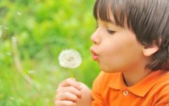 Kids spend more time outside than adults, exposing them to more allergens and worse symptoms.