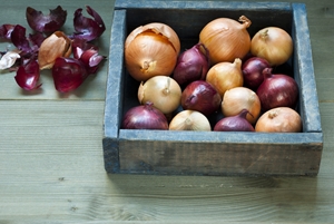 Onions are a great source of antioxidants which can help manage your allergies.