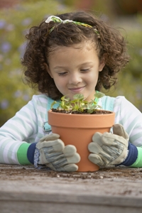 Planting the right  greenery can help manage your allergies.