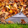Raking fall leaves may be bad for allergy sufferers.