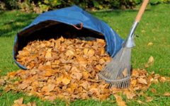 Raking leaves helps rid your home of mold and mildew.