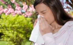 Sneezing, itchy eyes and stuffy noses are all allergy symptoms.