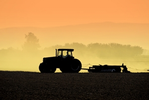 The combination of farms and industry in Ohio has made allergies worse this year.