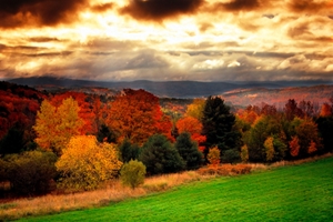 Vermont may look beautiful, but it's been a nightmare for allergy sufferers this year.