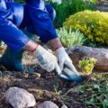 Wearing protection when gardening, such as gloves or a long sleeve shirt, can help reduce contact with allergy irritants.