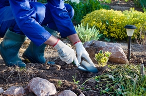 Wearing protection when gardening, such as gloves or a long sleeve shirt, can help reduce contact with allergy irritants.