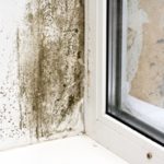 Study: Household mold infestations increase children's risk for developing asthma